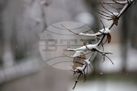 Снеговалеж - ежедневие