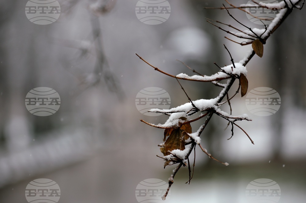 Снеговалеж - ежедневие