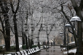 Снеговалеж - ежедневие