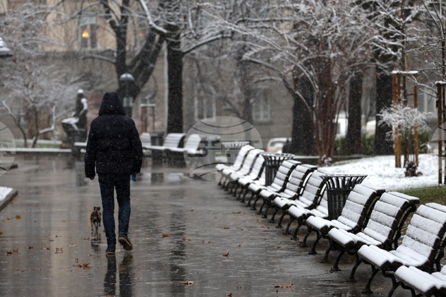 Снеговалеж - ежедневие