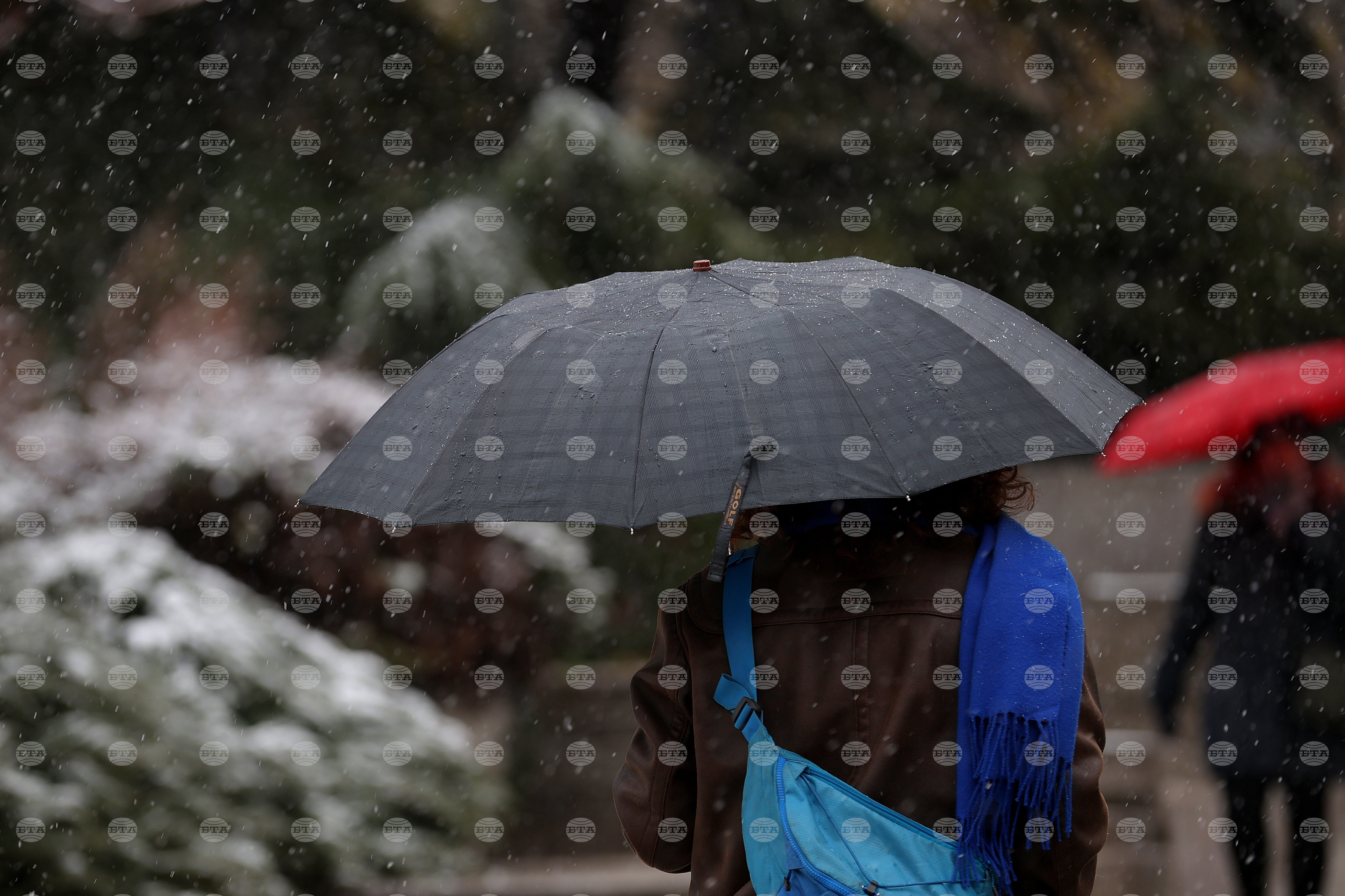 Прогноза за времето