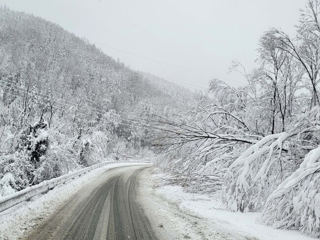 В община Аврен днес е неучебен ден за всички училища