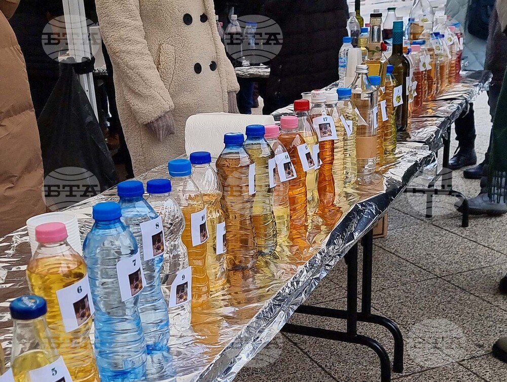 Враца - празник на врачанските вина, ракии и мезета