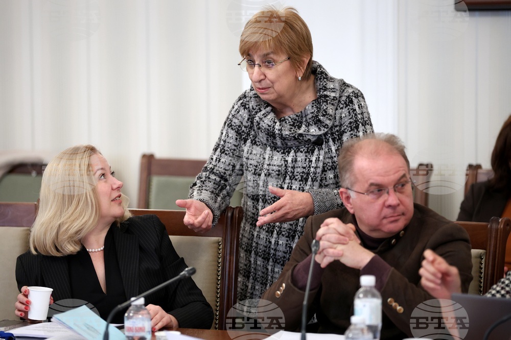 Парламент - Комисия по конституционни въпроси - заседание