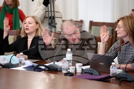 Парламент - Комисия по конституционни въпроси - заседание