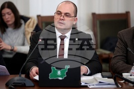 Парламент - Комисия по конституционни въпроси - заседание