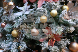 Сърбия - Белград - празнична украса