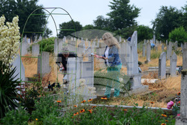 Исперих - Черешова задушница