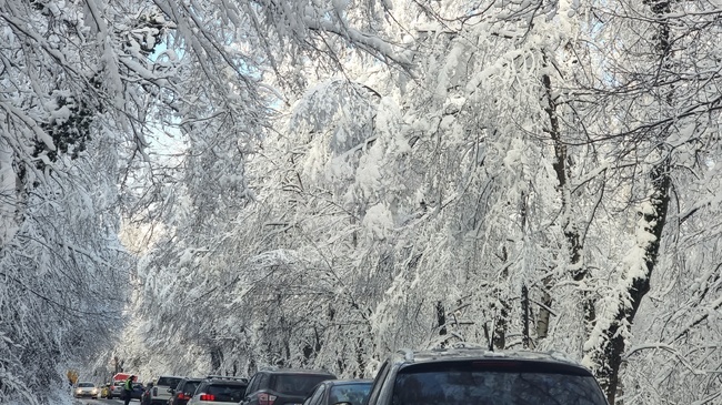 Пътищата към Витоша ще бъдат затваряни от 10:00 до 15:00 ч. през почивните дни заради очаквания снеговалеж, съобщиха от Столичната община