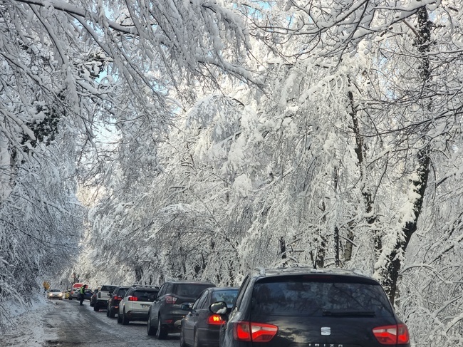 Пътищата към Витоша ще бъдат затваряни от 10:00 до 15:00 ч. през почивните дни заради очаквания снеговалеж, съобщиха от Столичната община
