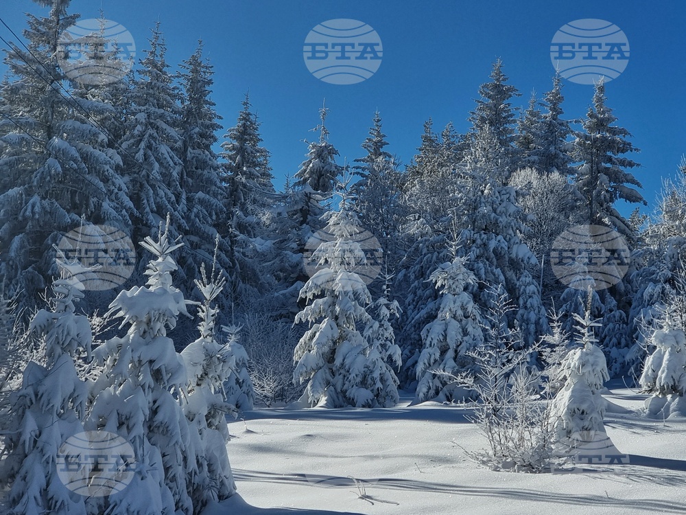БТА :: Алпийският клуб „Bulgarischer Alpenclub“ осъществи своя 58-и поход