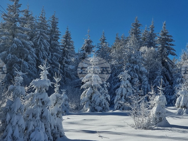 Прогноза за времето