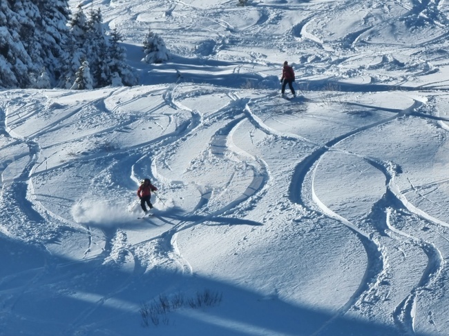 Витоша планина - сняг - зимни спортове