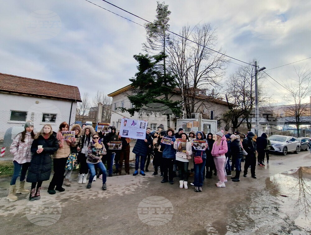 Municipal Council Demands Cancellation of Order Banning Access of Volunteers to Vrabnitsa Vet Clinic