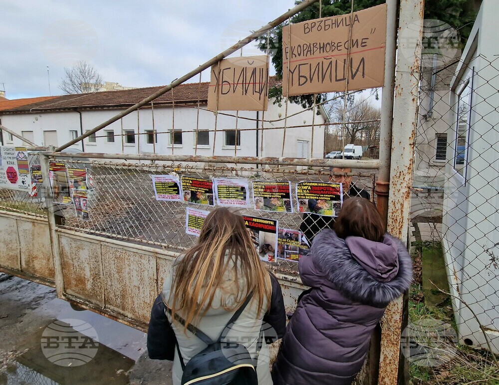 Stray Rights Activists Meet Sofia Mayor, Demand Improved Conditions at Municipal Dog Shelter