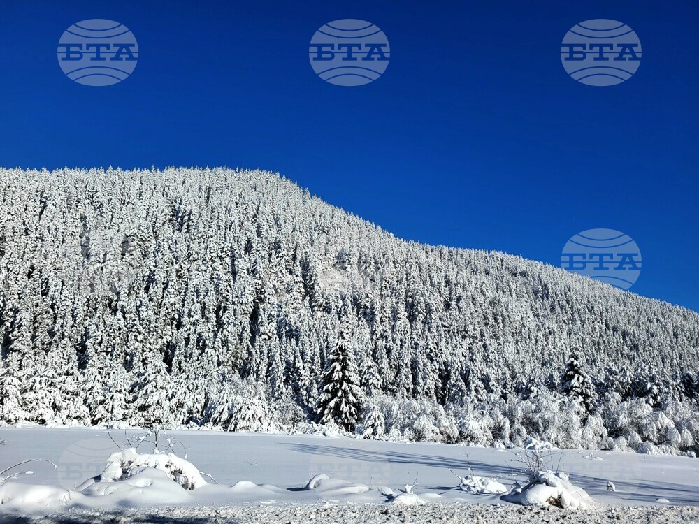 The Weather on January 10