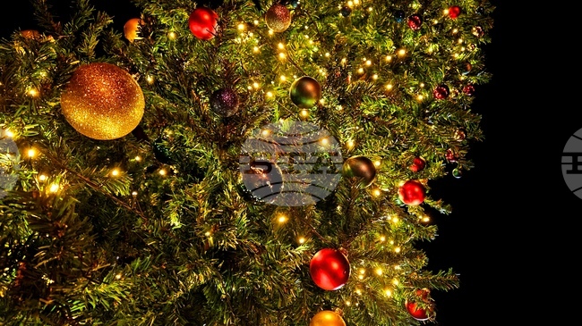 С музикални и танцови изпълнения на деца ще бъдат включени светлините на коледната елха в Гоце Делчев