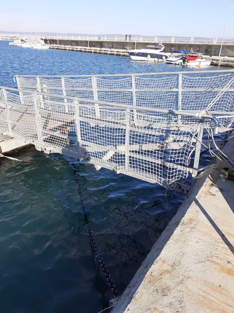 Община Варна: Кметът на Варна нареди спешна проверка защо още при първата буря се налага възстановяване на бронировката на пристанище Карантината