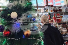 Самоков - елхи