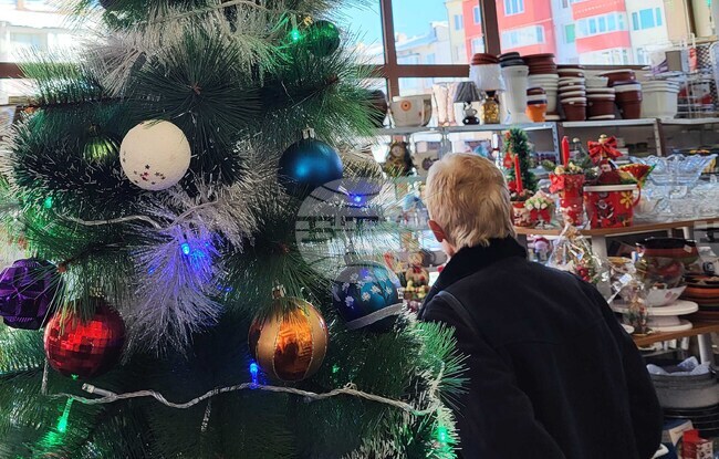 Самоков - елхи