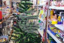 Самоков - елхи