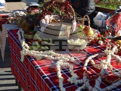 Снимка: Община Видин