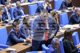 Парламент - заседание