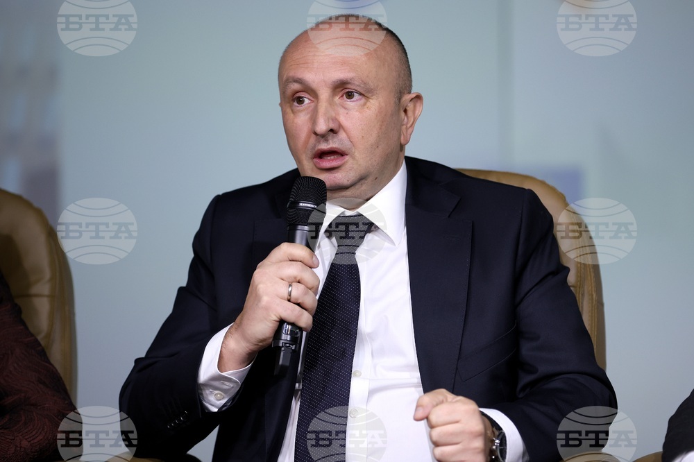 Statements at BTA Conference on Europe in the Balkans: Common Future Project