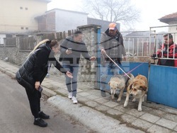 Снимка: Община Банско