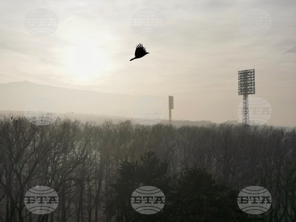 Мръсен въздух