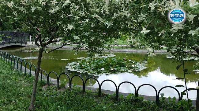 Как трябва да изглежда един зелен европейски град – анкета с жители на Ямбол