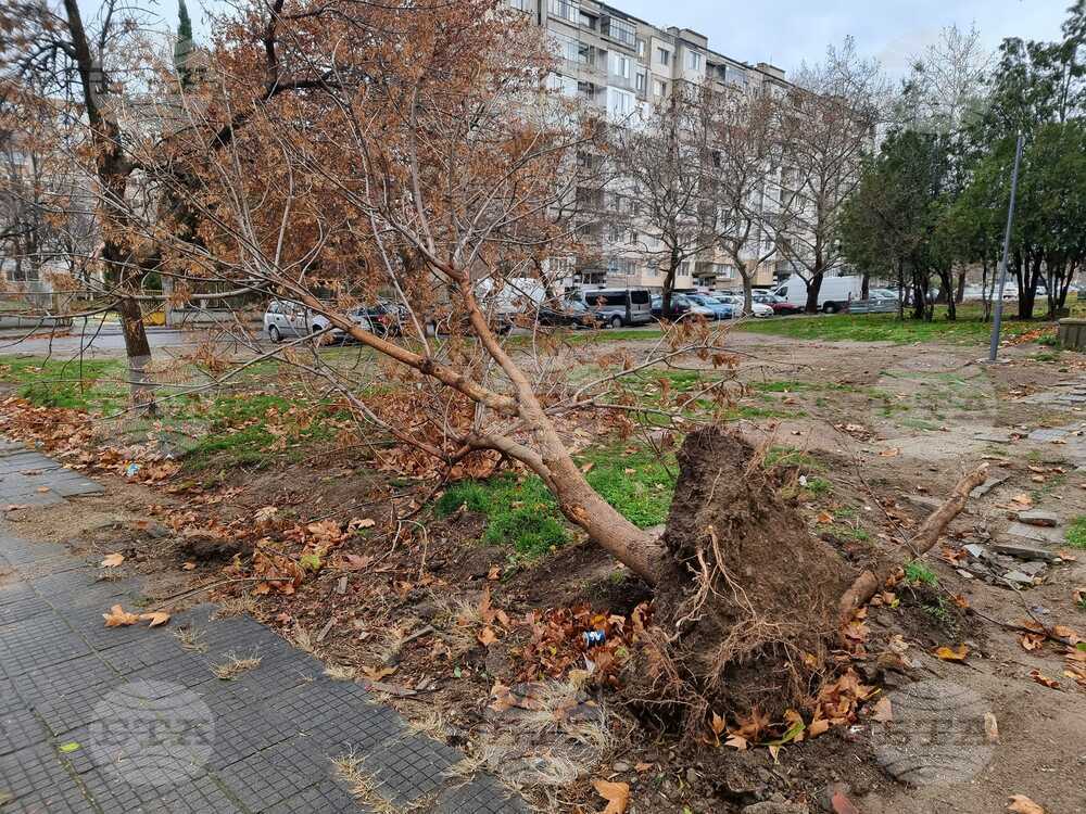 Възстановено е електрозахранването на пет сливенски села, нарушено от бурен вятър, достигащ 90 км/ч