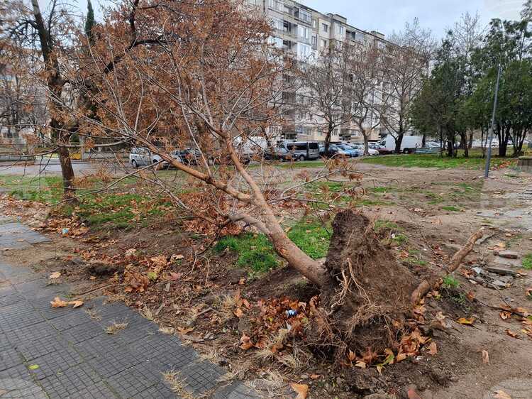 Екипи на Регионалната служба Пожарна безопасност и защита на населението