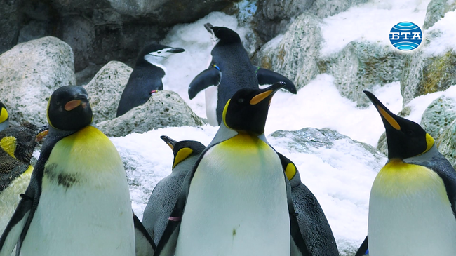 Hydrobiologist Lyubomir Kenderov Argues for Holistic Approach to Studying Nature