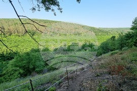 Алфатар - скални манастири - Света Божествена архиерейска литургия