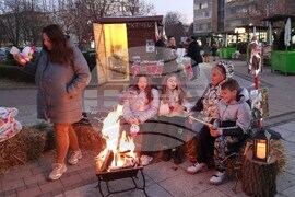 Разград - екзотични животни