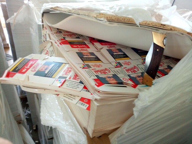 Видин - Дунав мост 2 - контрабанда