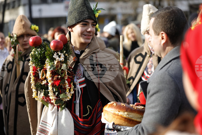 Русе - коледари
