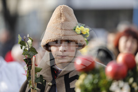 Русе - коледари