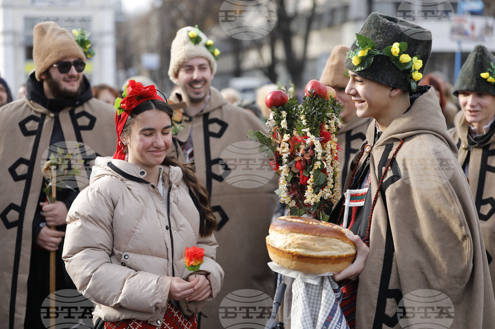 Русе - коледари