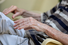 Пловдив - д-р Хаим Пардо