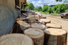 Трявна - поройни дъждове - щети