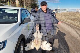 Хасково - пазар - коледни пуйки