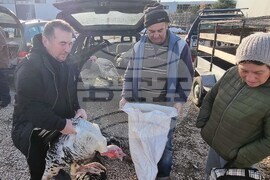 Хасково - пазар - коледни пуйки