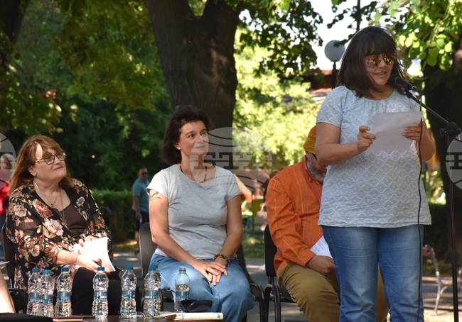 Видин - поетичен пленер