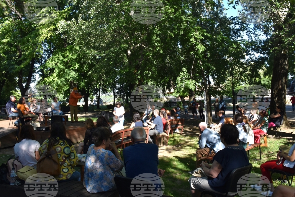 Видин - поетичен пленер