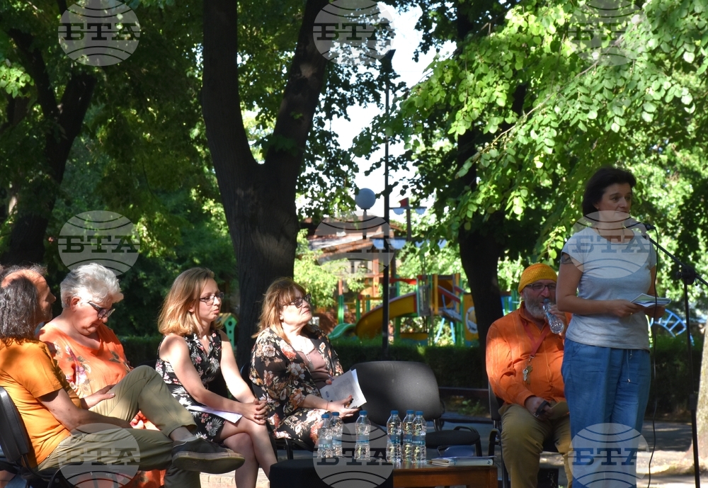 Видин - поетичен пленер