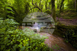 Крушунски водопади