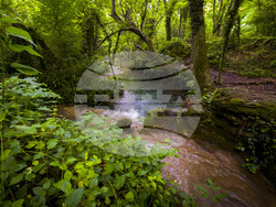 Крушунски водопади