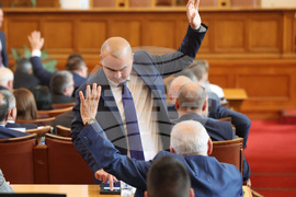 Парламент - заседание